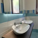 Silvanae Ачитрецца